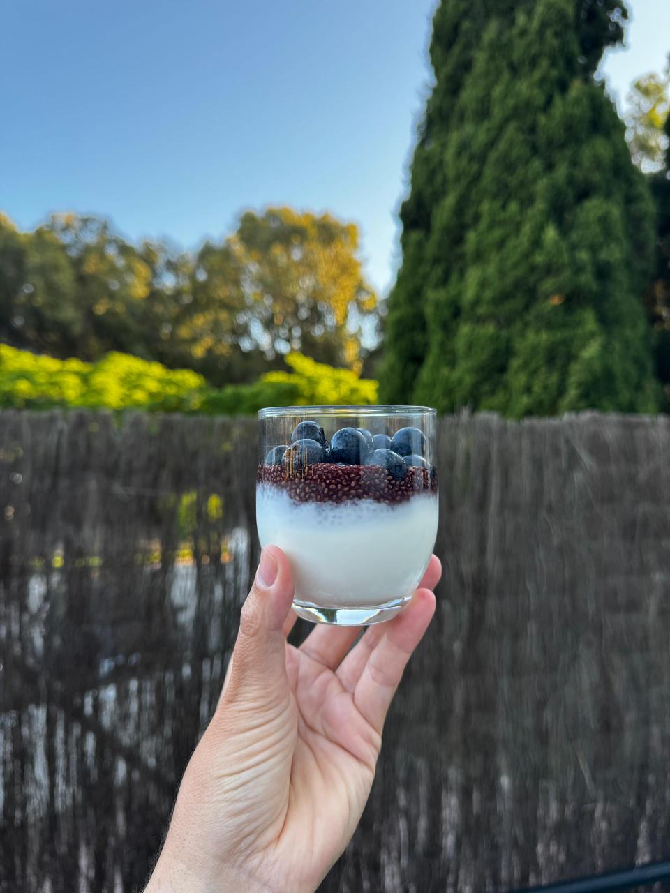 lanche saudável para pré ou pós-treino com pudim de chia e frutas