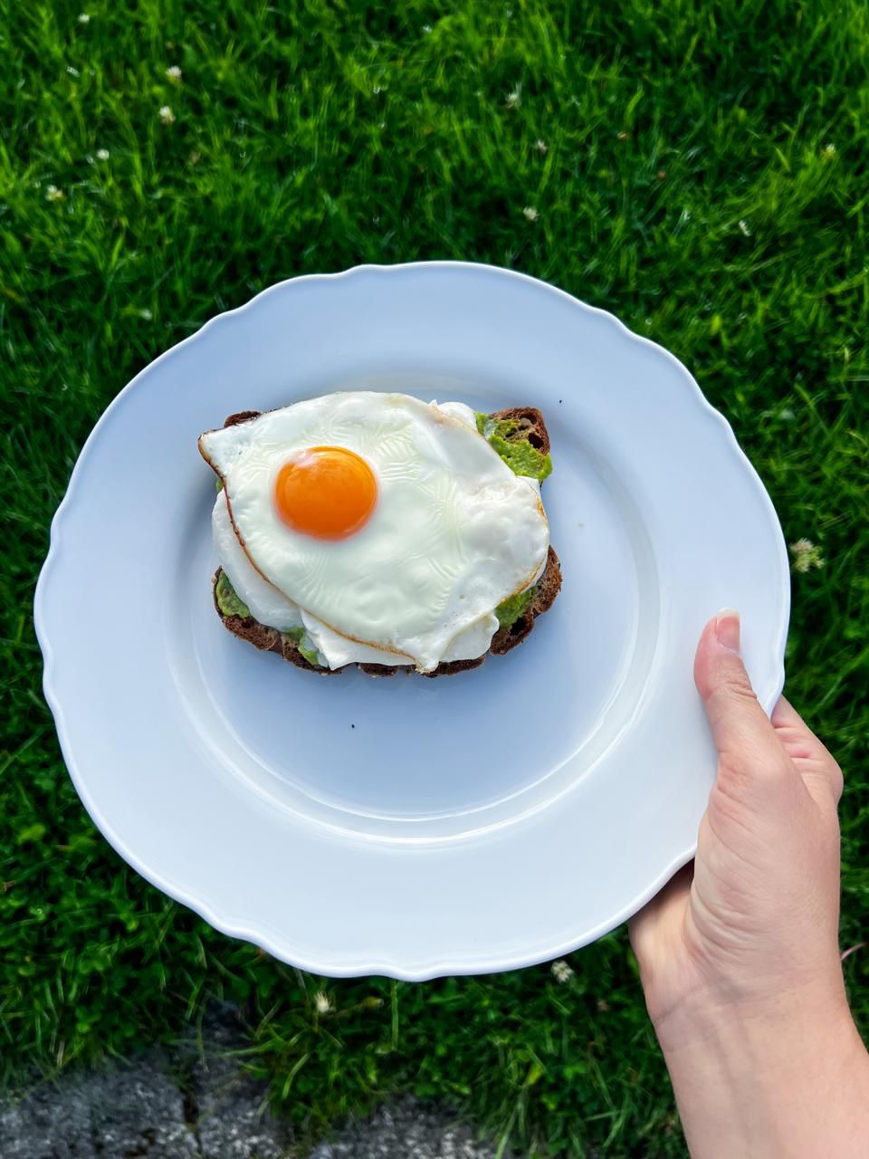 torrada com ovo como refeição simples para manter energia e saciedade